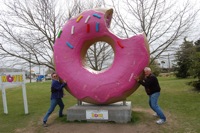 Giant Donut 