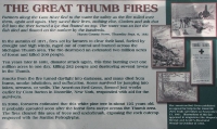The Great Thumb Fires